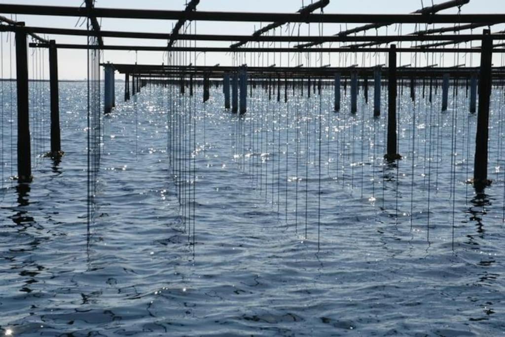 Grande Villa Neuve Avec Piscine Pres Mer Et Sete Balaruc-les-Bains Kültér fotó